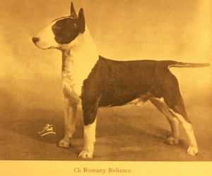 Romany Reliance