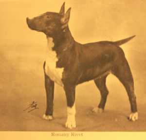 Romany Rivet
