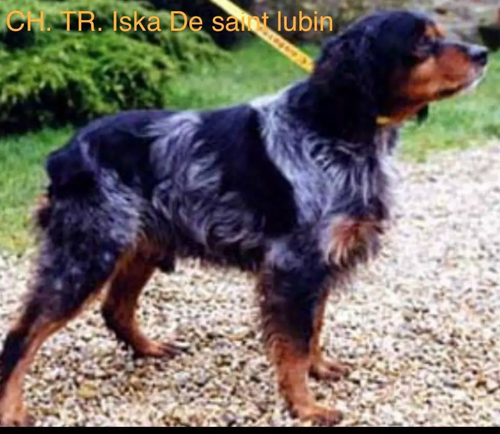 ISKA de Saint Lubin