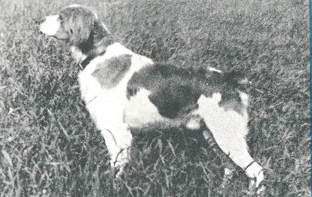 SOICK de l'argoat