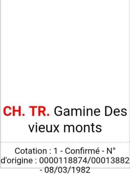GAMINE des vieux monts