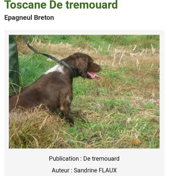TOSCANE de Tremouard