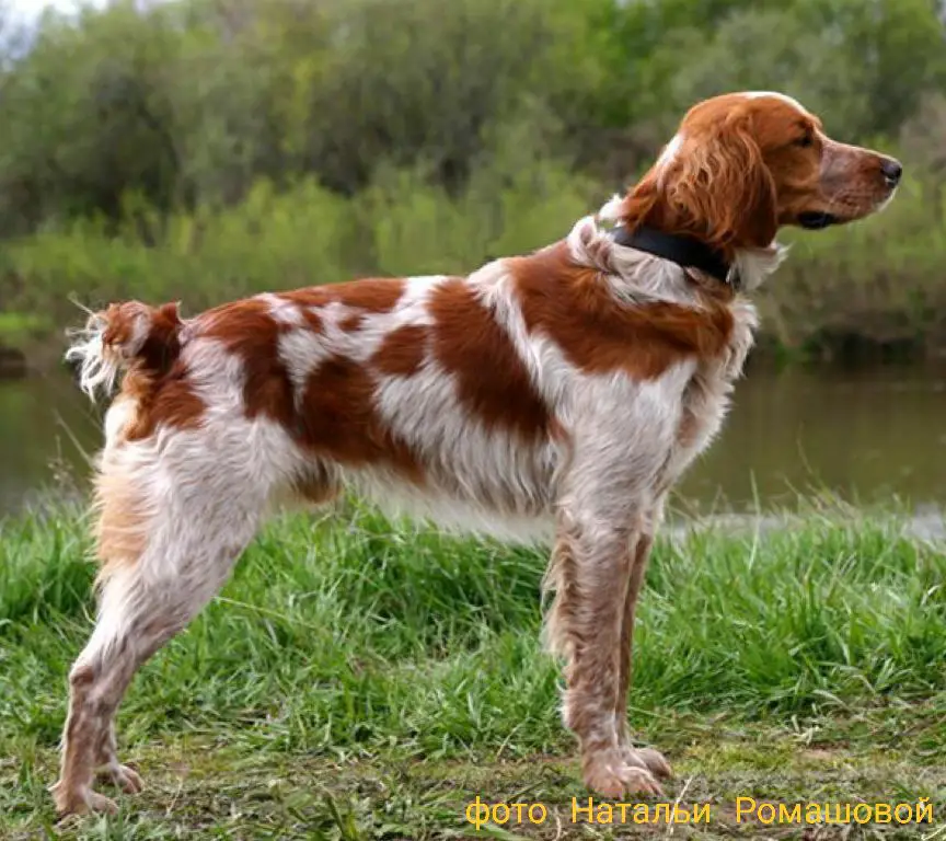 BANDI Epaton