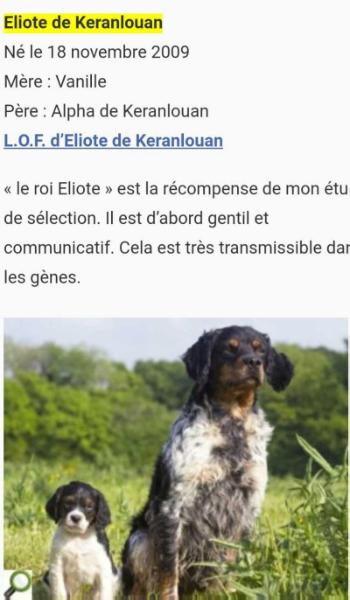 ELIOTE de Keranlouan