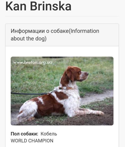KAN Brinska