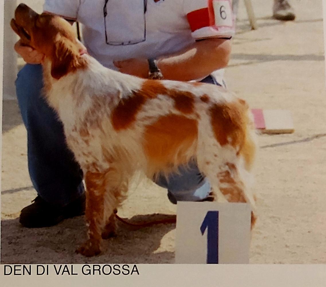 DEN di Val Grossa