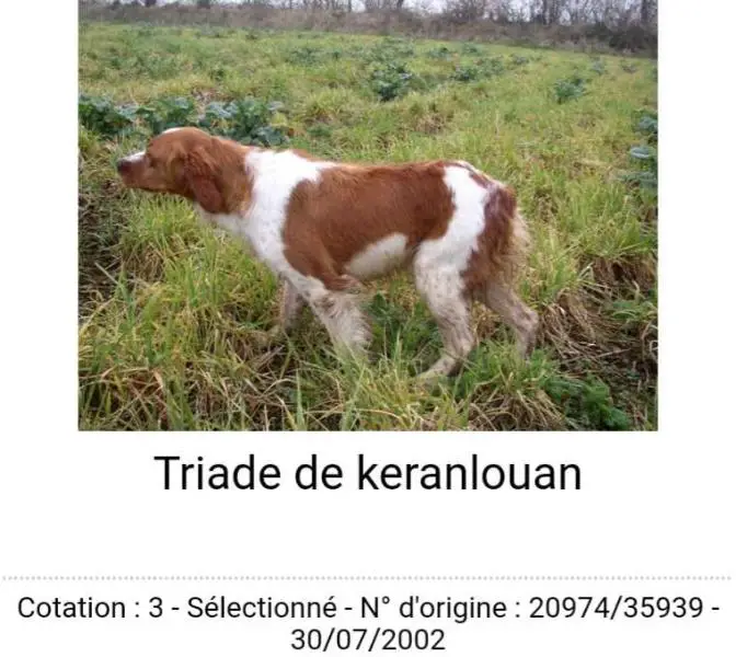 TRIADE de Keranlouan