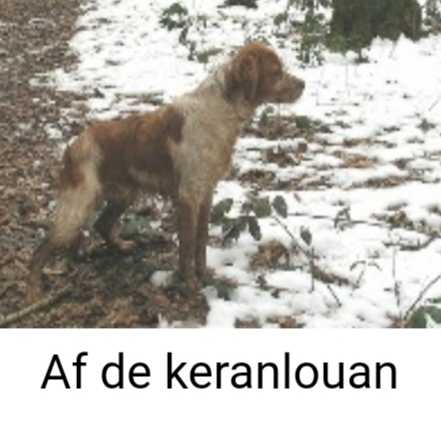 AF de Keranlouan