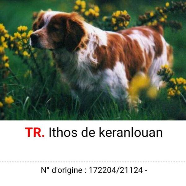 ITHOS de Keranlouan