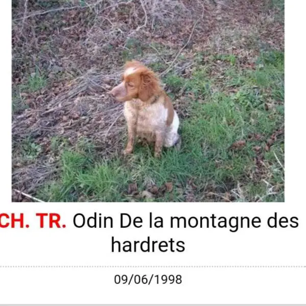 ODIN de la Montagne des Hardrets