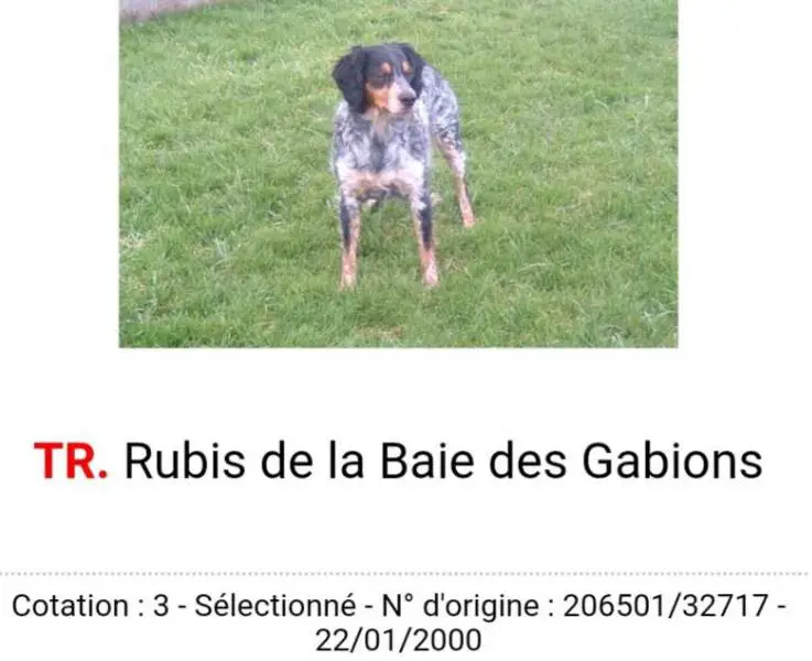RUBIS de la Baie des Gabions