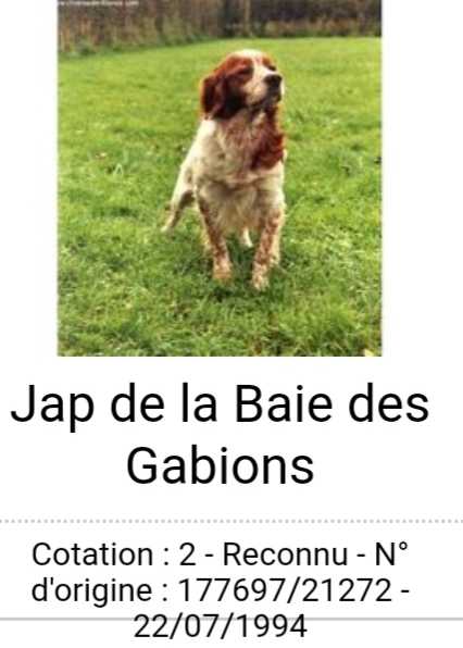 JAP de la Baie des Gabions