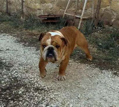Baltazar