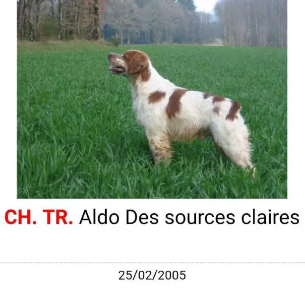 ALDO des Sources Claires
