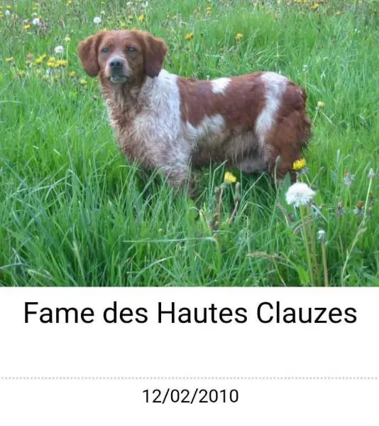 FAME des Hautes Clauzes