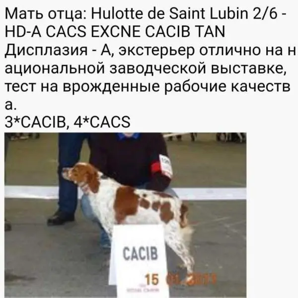 HULOTTE de Saint Lubin