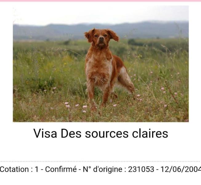 VISA des Sources Claires