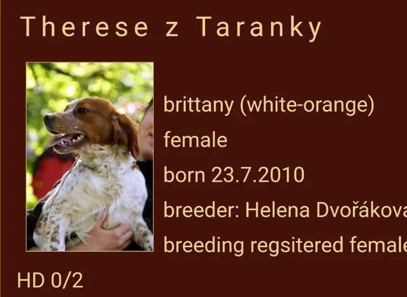 THERESE z Taranky