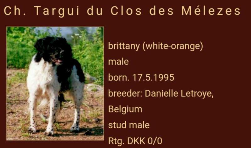 TARGUI du Clos des Melezes