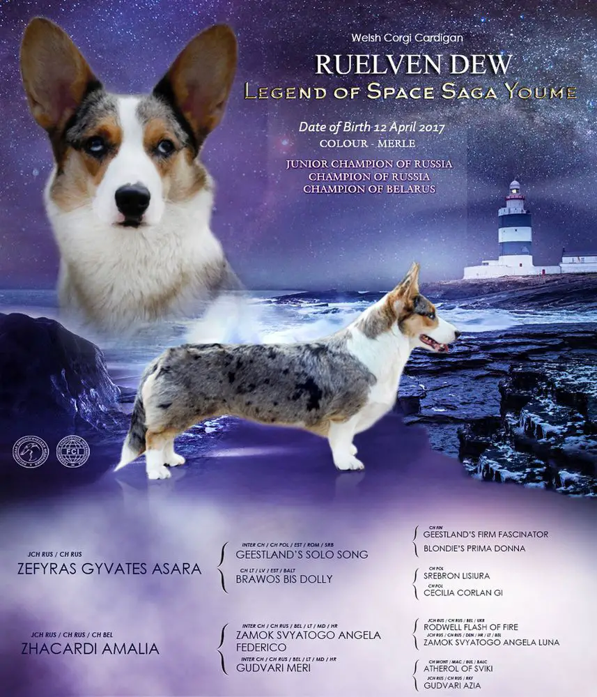 Ruelven Dew Legend of Space Saga Youme