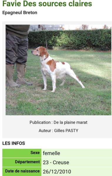 FAVIE des Sources Claires
