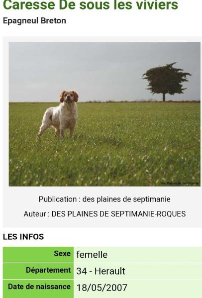CARESSE de sous les Viviers
