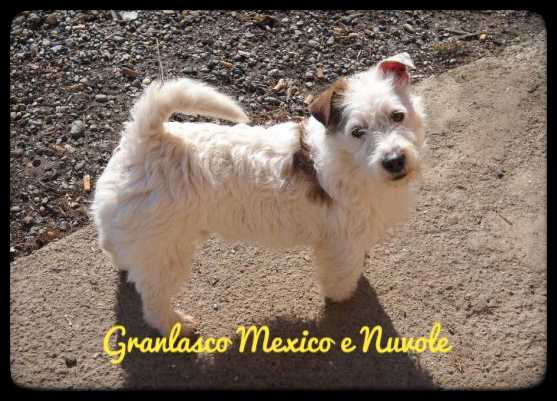Granlasco Mexico e Nuvole
