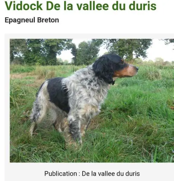 VIDOCK de la Vallee du Duris