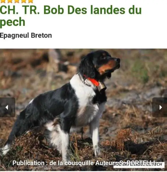 BOB des Landes du Pech