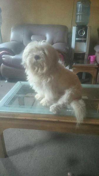 Murphy