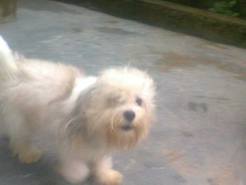 Jumomg