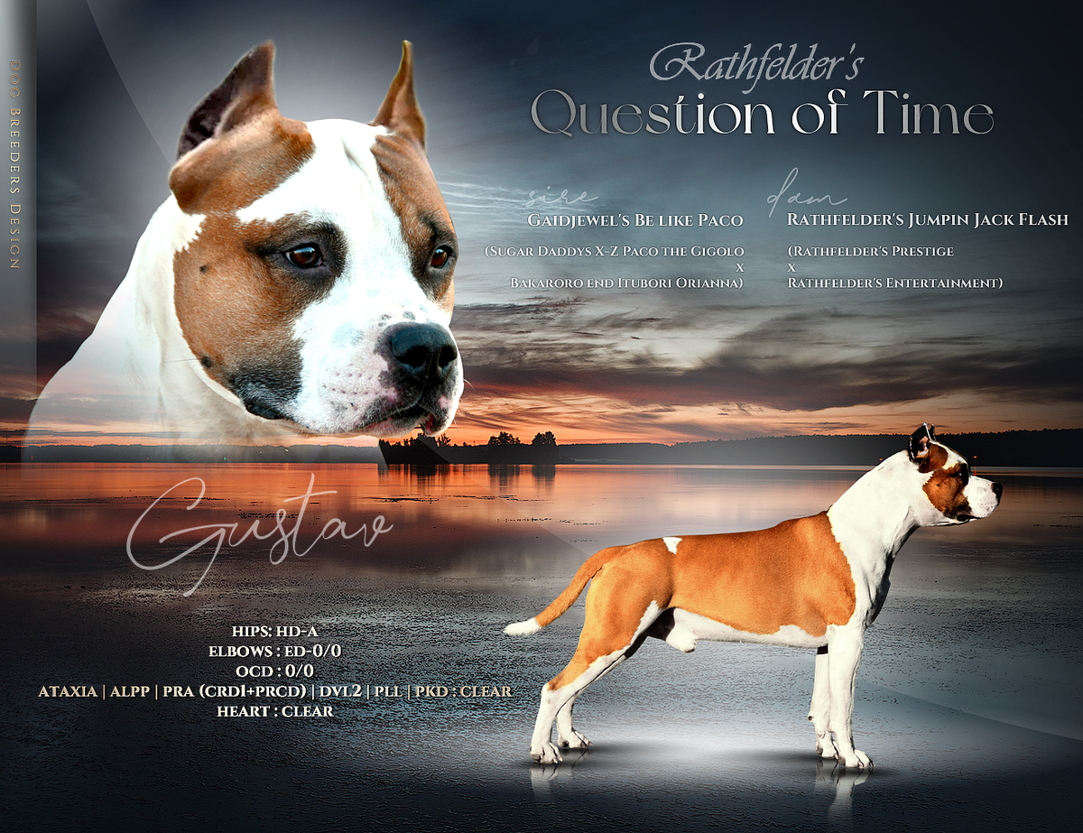 Rathfelder's Question of time
