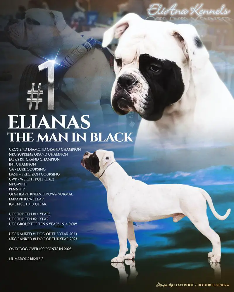 EliAna's The Man In Black