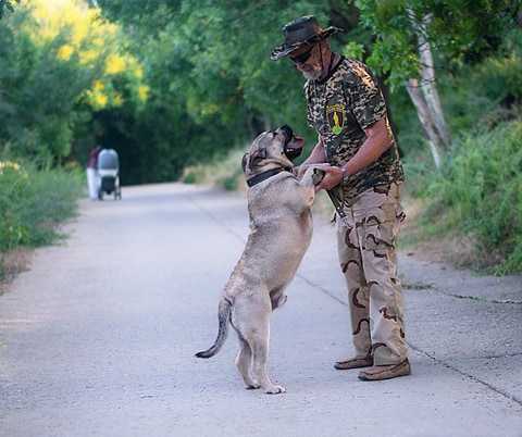 Asad Feodor Land