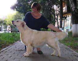 Tramin True Love's Kiss