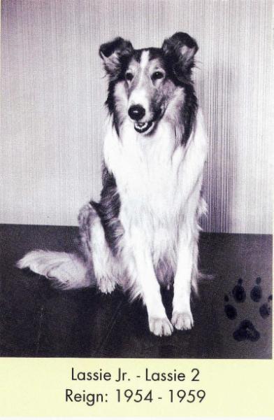 The Legacy of Lassie