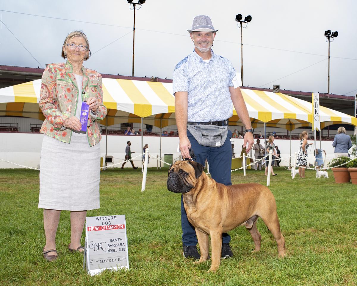 Bullstock's King Crimson