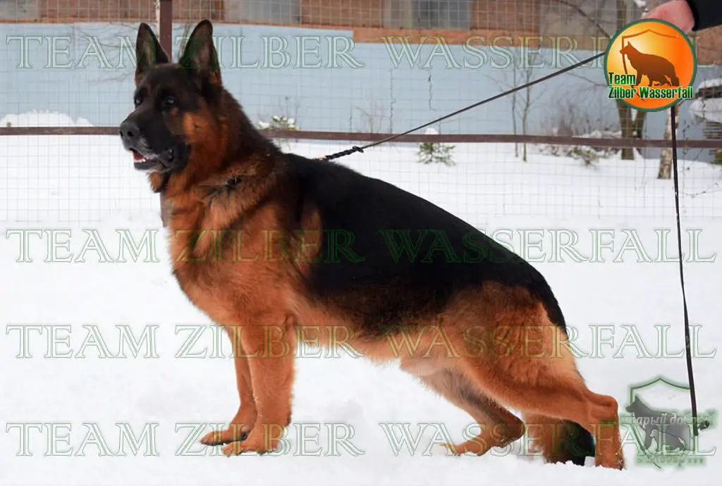 Team Zilber Wasserfall HENK