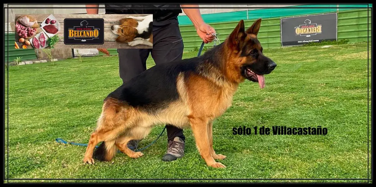 Solo I De Villacastaño