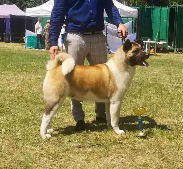 Marook Ravine Get A Strike