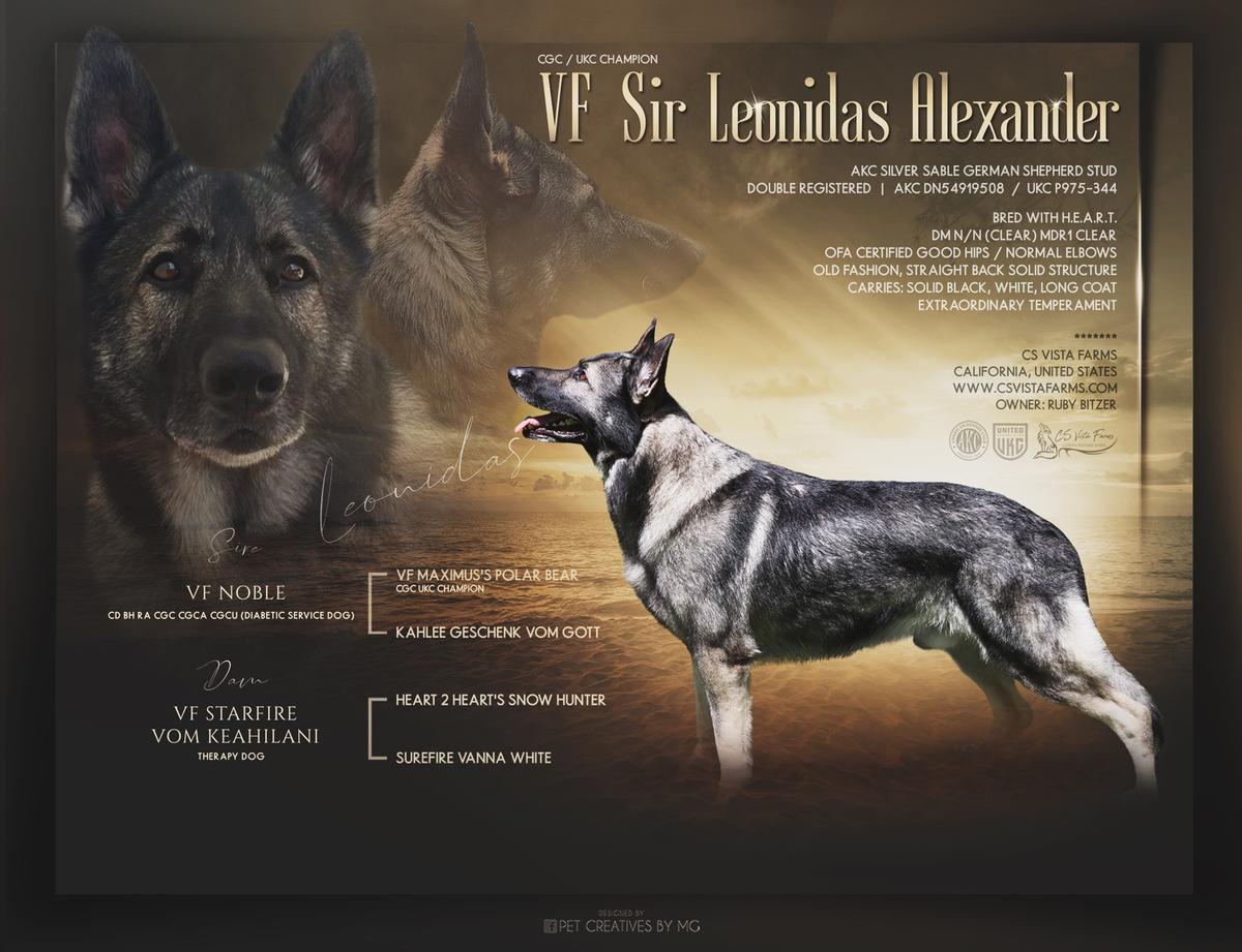 VF Sir Leonidas Alexander