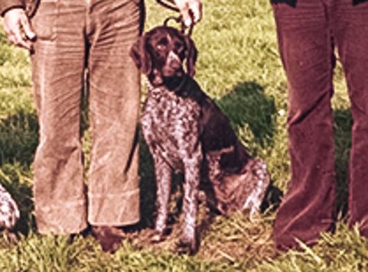 Freya von Gehrenberg