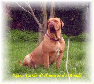 ZJAZZ GARDE D'HONNEUR DU MONDE