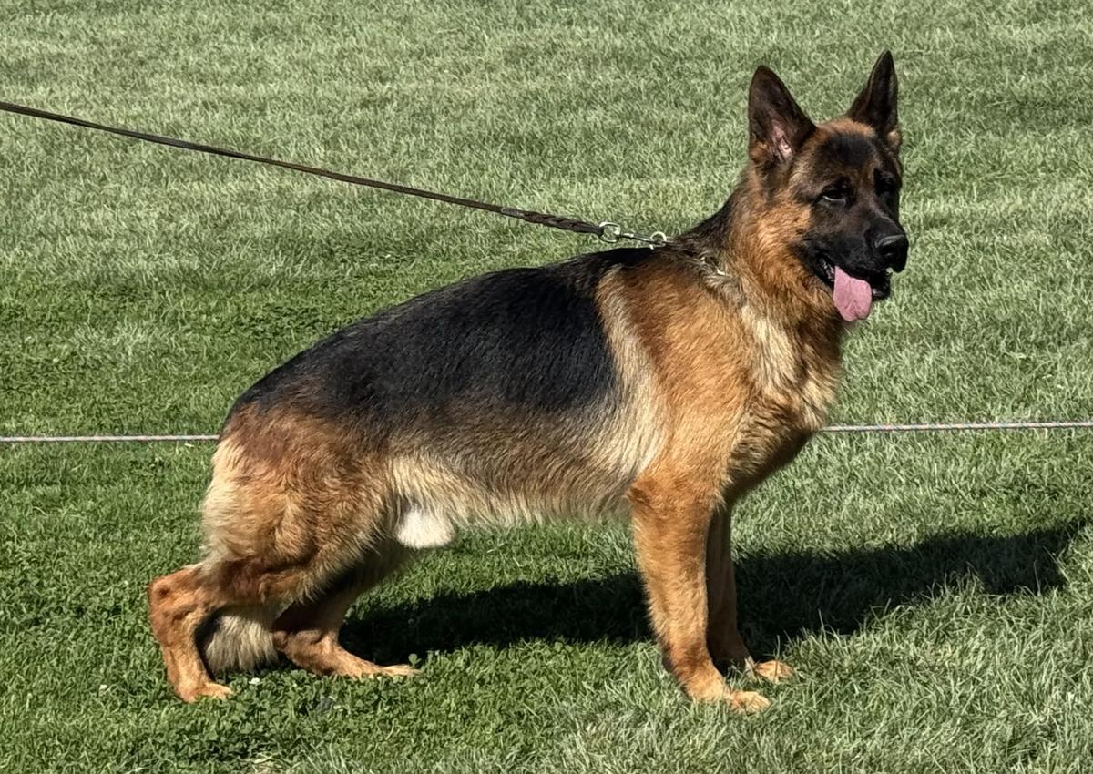 Ethan dell'Alto Ofanto