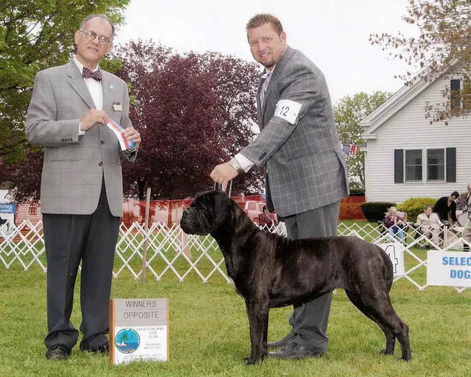 Bandog's GO ASK ALICE OF RAVEN