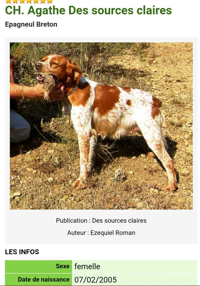 AGATHE des Sources Claires