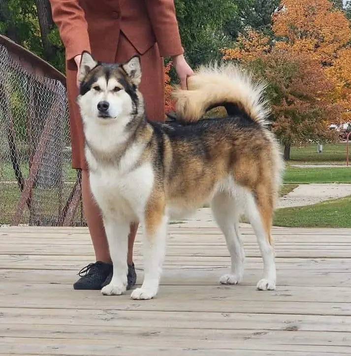 ArctiCircles Mountains Meet the Ocean