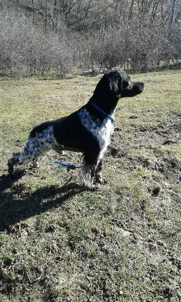 Zero