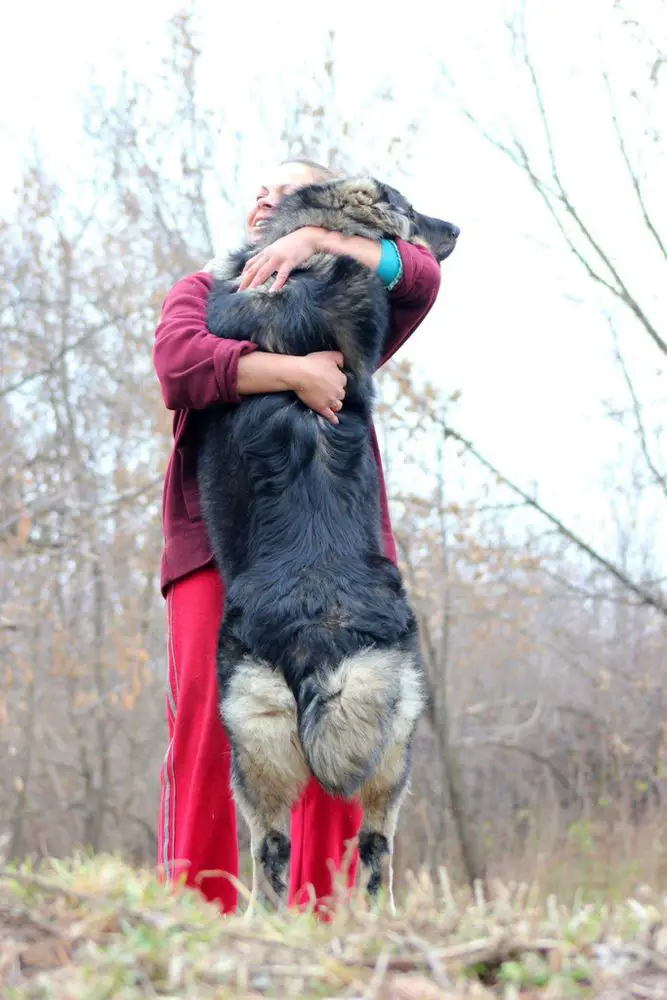 Koritsa Tor Heart