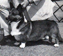 Bealehouse Henery The First
